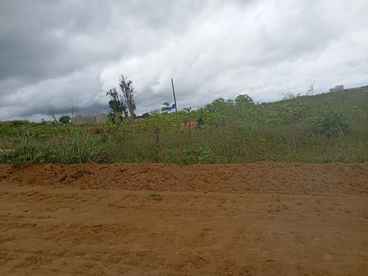 🏡 Terrain à vendre – Jacqueville Avagou 🌴