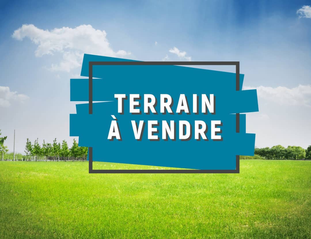 🌍 16 Hectares à vendre à Ebimpé avec ACD 🌍